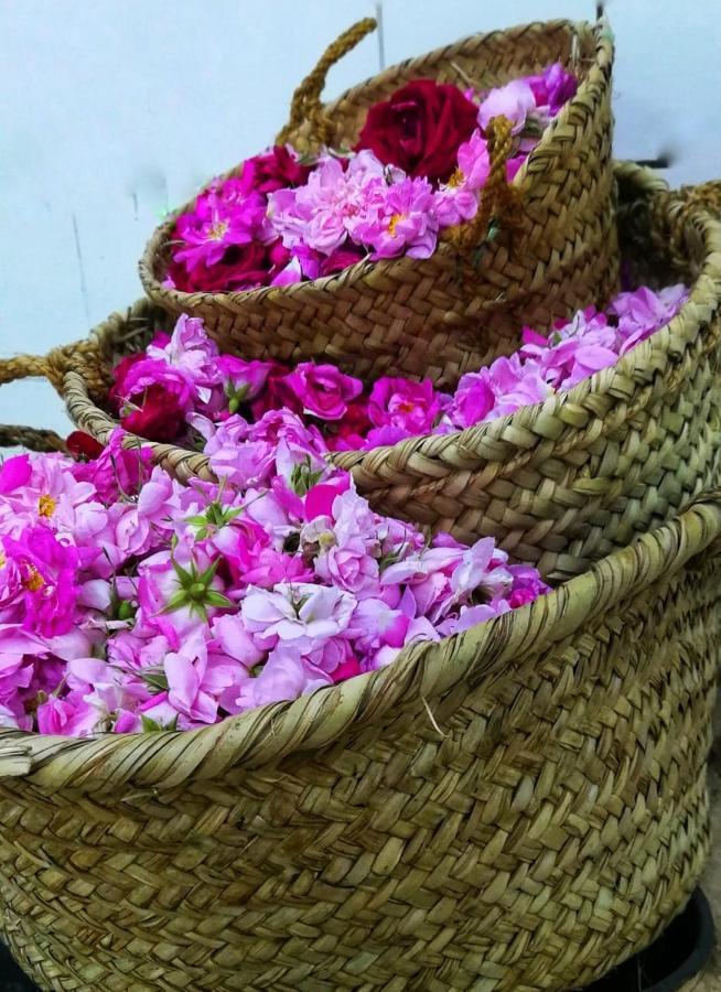 Вилла Roses House Oman Jabal al Akhdhar Экстерьер фото