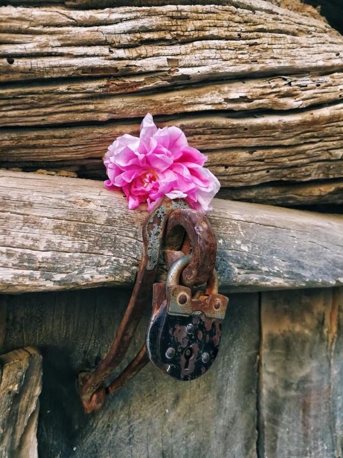 Вилла Roses House Oman Jabal al Akhdhar Экстерьер фото
