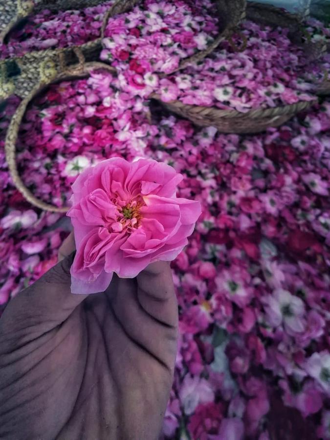 Вилла Roses House Oman Jabal al Akhdhar Экстерьер фото